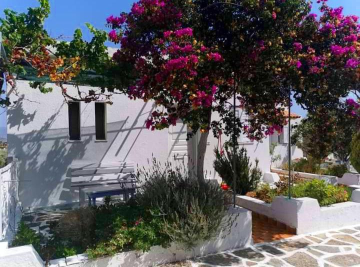 Kassandra Garden Residence Istro Ngoại thất bức ảnh