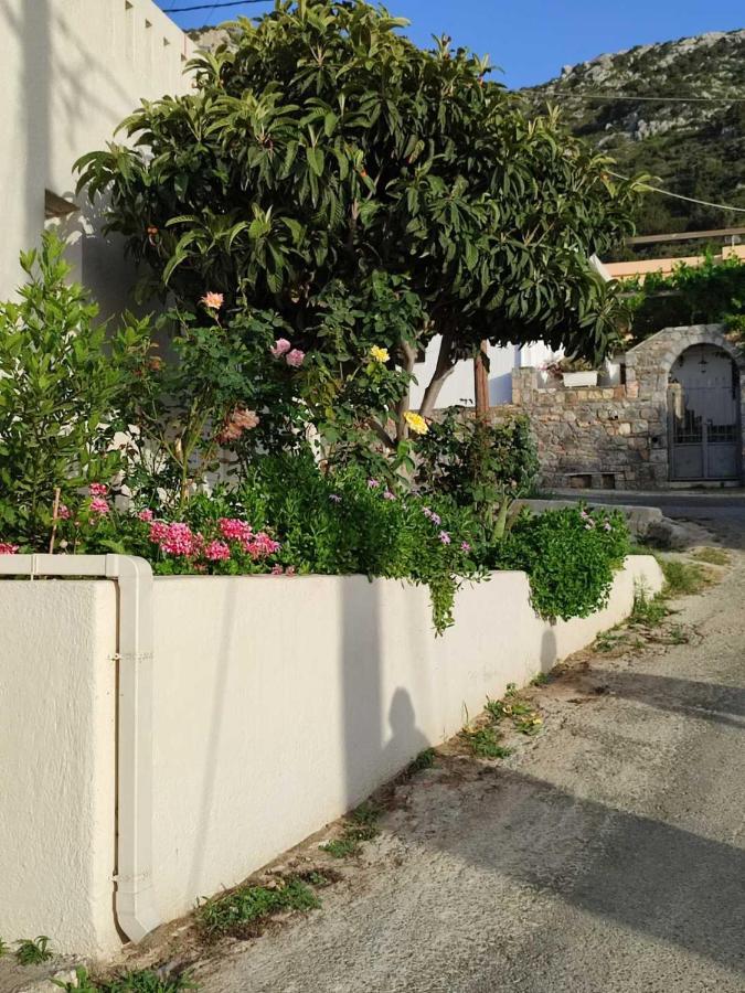 Kassandra Garden Residence Istro Ngoại thất bức ảnh