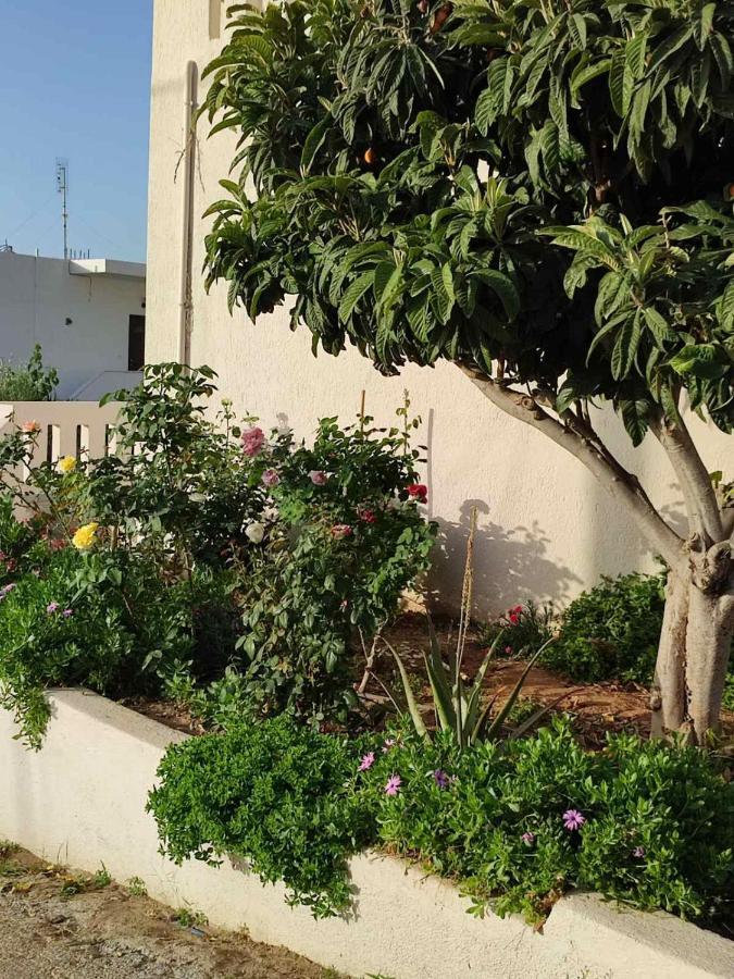 Kassandra Garden Residence Istro Ngoại thất bức ảnh